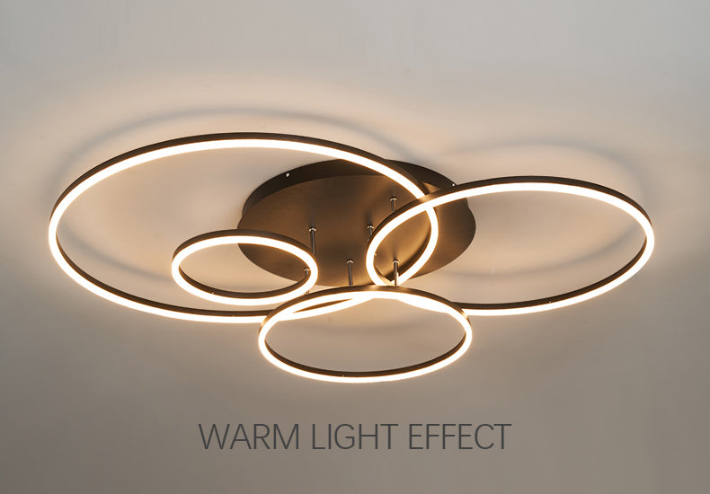 Rings Ceiling Light Ceiling Light Galileo Lights