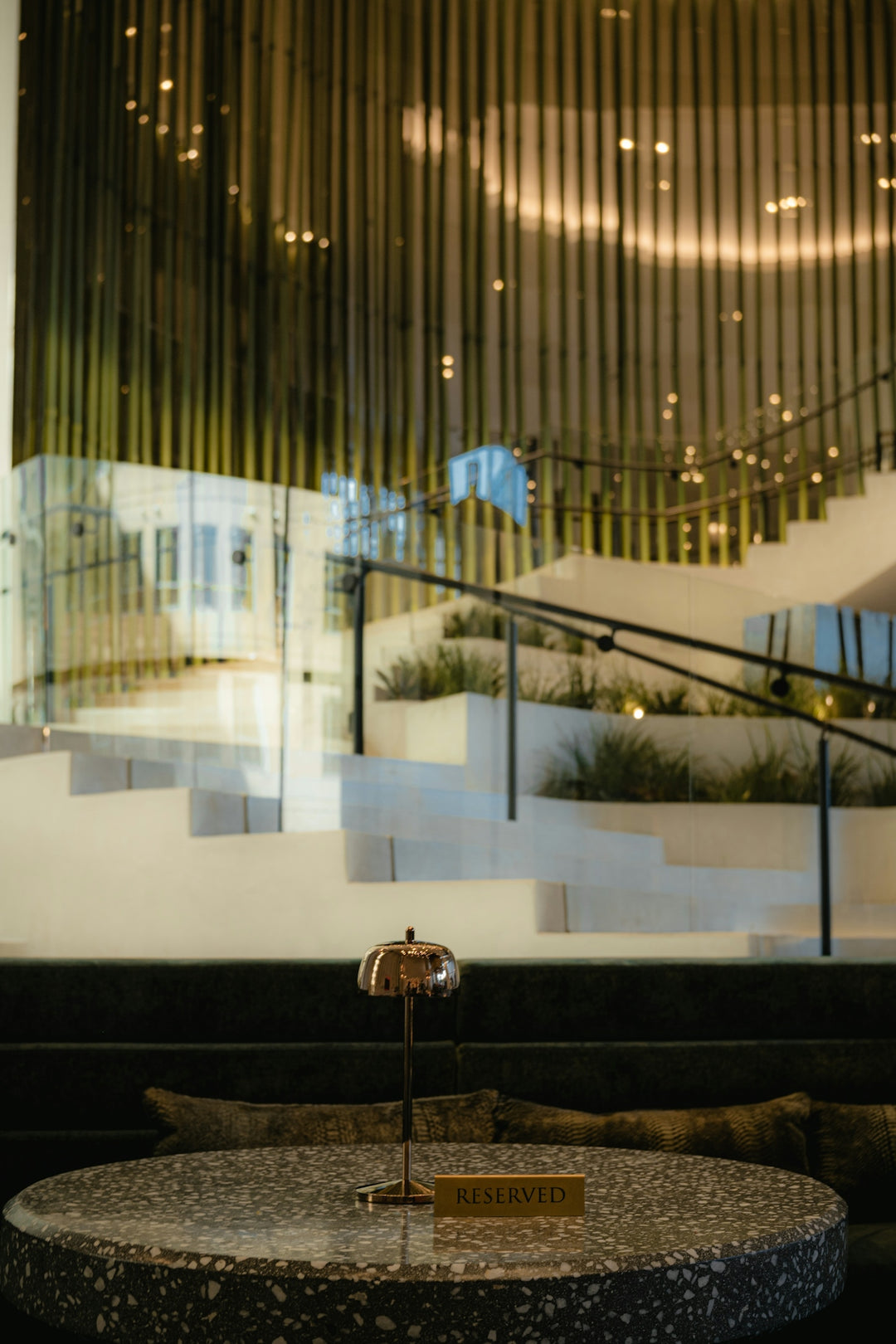 Modern staircase with decorative lighting and plants.