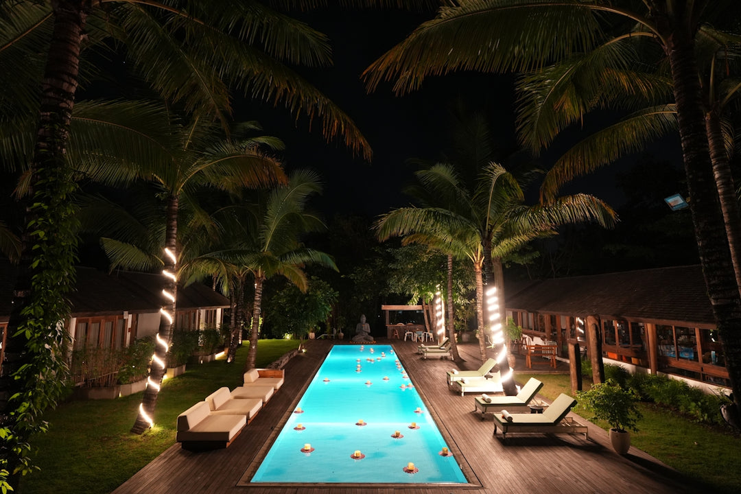 Luxurious swimming pool at night with palm trees
